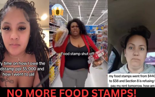 FOOD STAMP MELTDOWNS 2025 😱 TikTok Scammers Ruined It for Everyone!