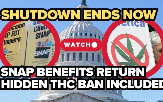 Government shutdown ends, but fallout continues — what Americans need to know